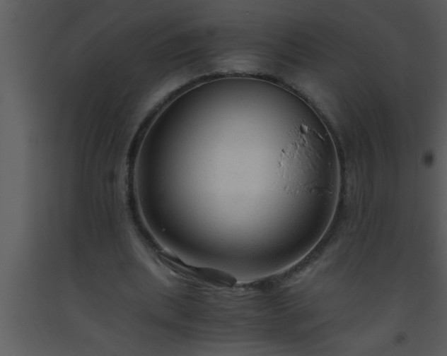 X0000093510439200710191314