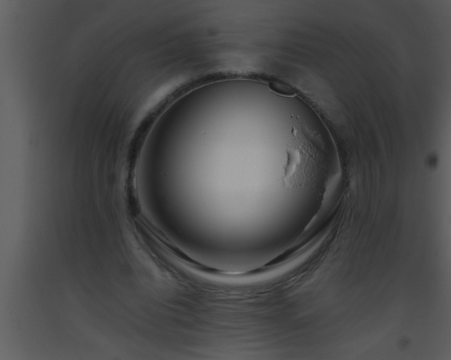 X0000093510440200710191314