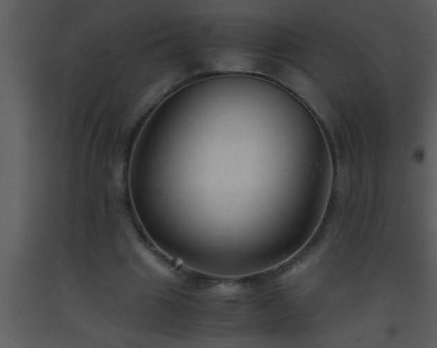X0000093510441200710191314