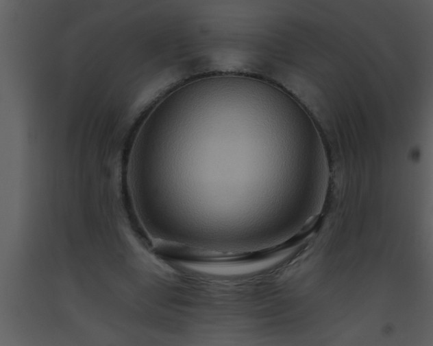 X0000093510442200710191314