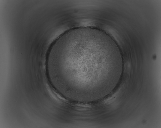 X0000093510443200710191314