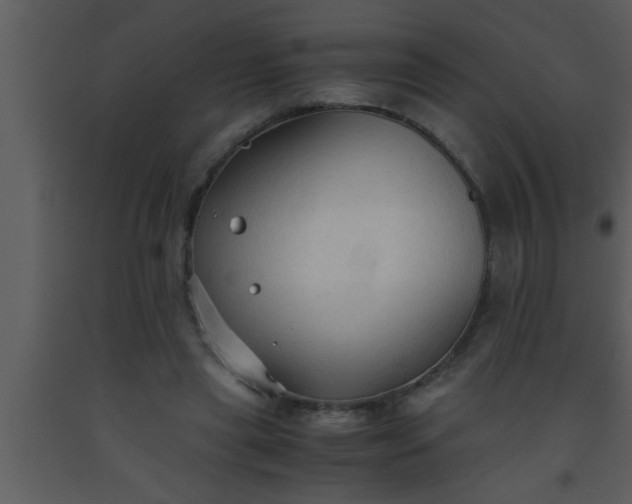 X0000093510445200710191314