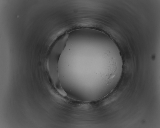 X0000093510446200710191314