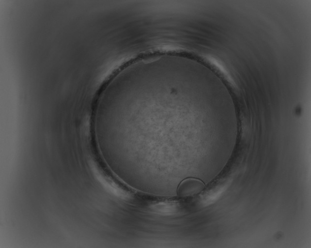 X0000093510447200710191314