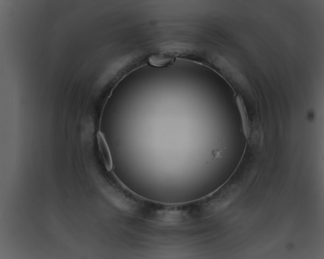 X0000093510448200710191314
