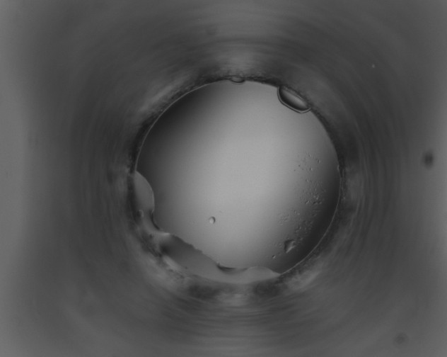 X0000093510450200710191314