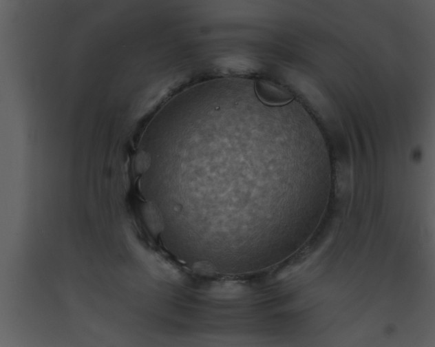 X0000093510451200710191314
