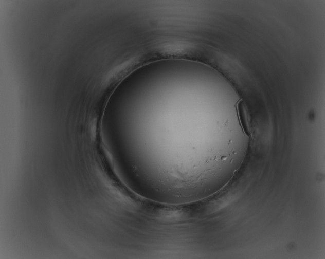 X0000093510454200710191314