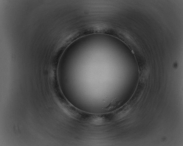 X0000093510456200710191314