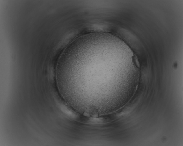 X0000093510457200710191314