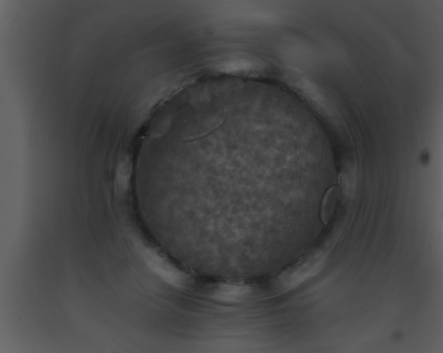 X0000093510458200710191314