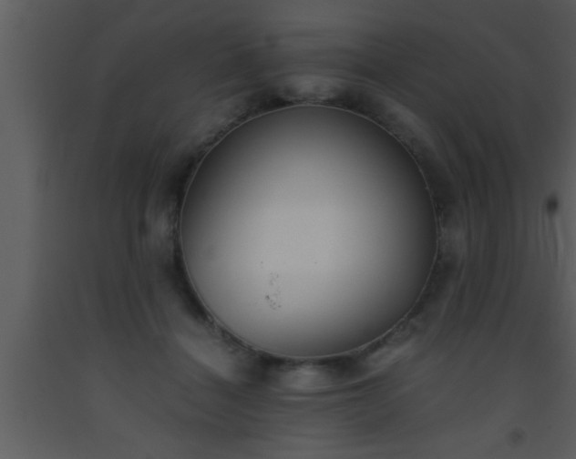 X0000093510460200710191314