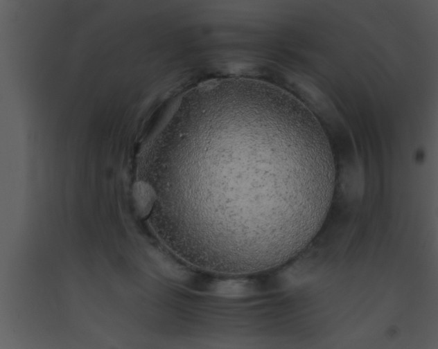 X0000093510461200710191314
