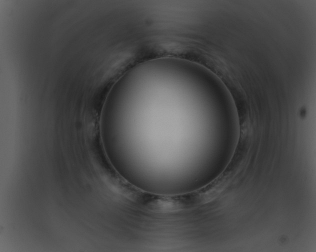 X0000093510464200710191314