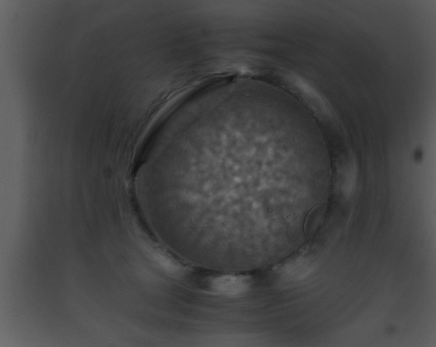 X0000093510465200710191314