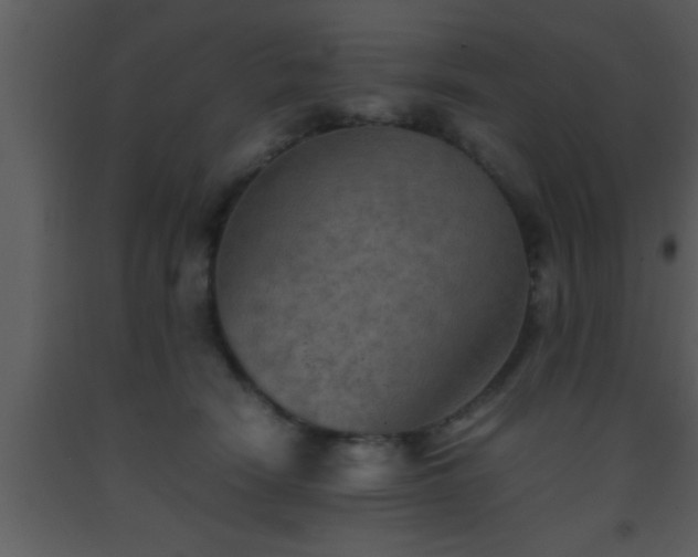 X0000093510466200710191314