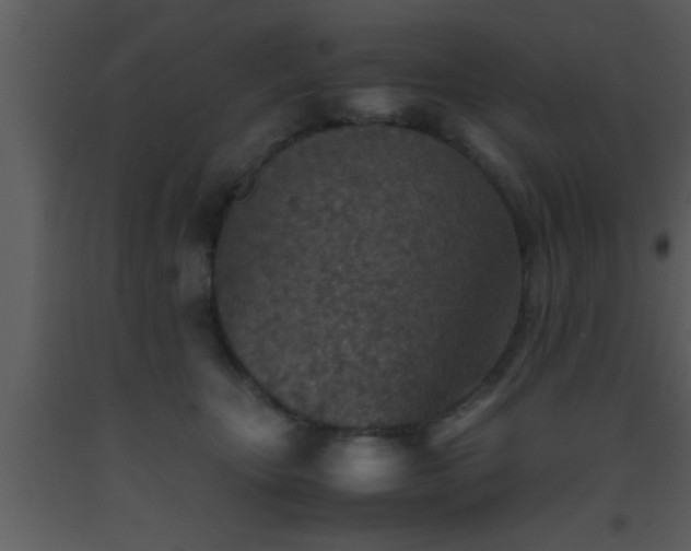 X0000093510467200710191314