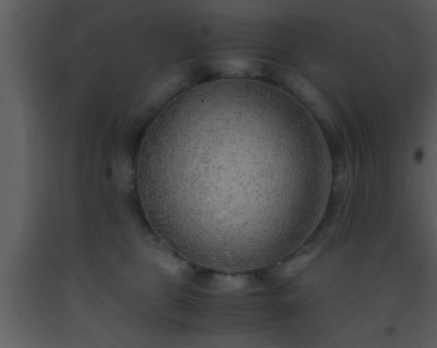 X0000093510469200710191315