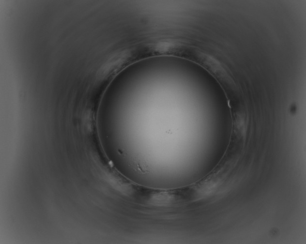 X0000093510470200710191315