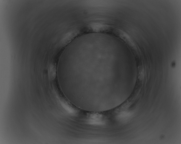 X0000093510471200710191315
