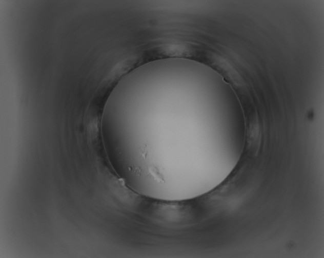 X0000093510473200710191315