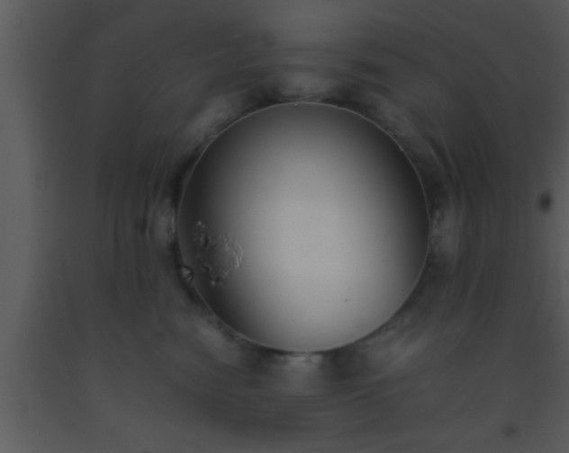 X0000093510474200710191315
