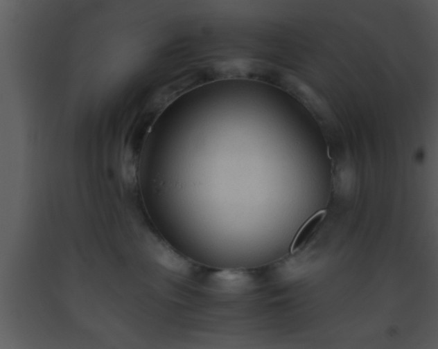 X0000093510477200710191315