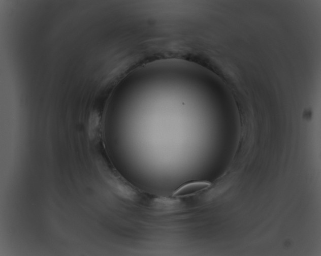 X0000093510480200710191315