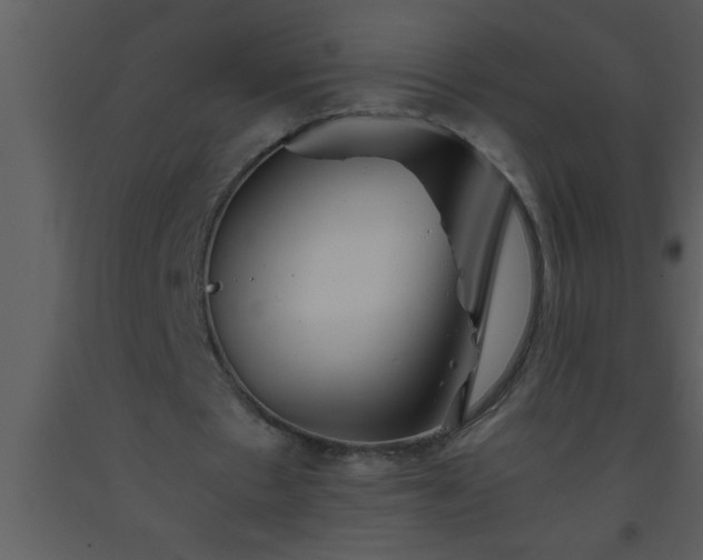 X0000093510481200710191314