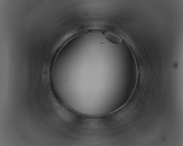 X0000093510482200710191314