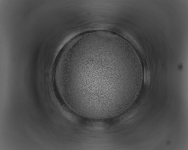 X0000093510483200710191314