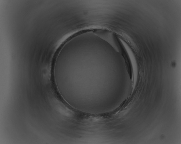X0000093510484200710191314