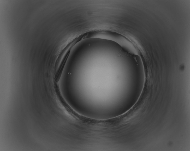 X0000093510485200710191314