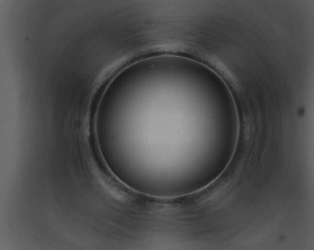 X0000093510486200710191314