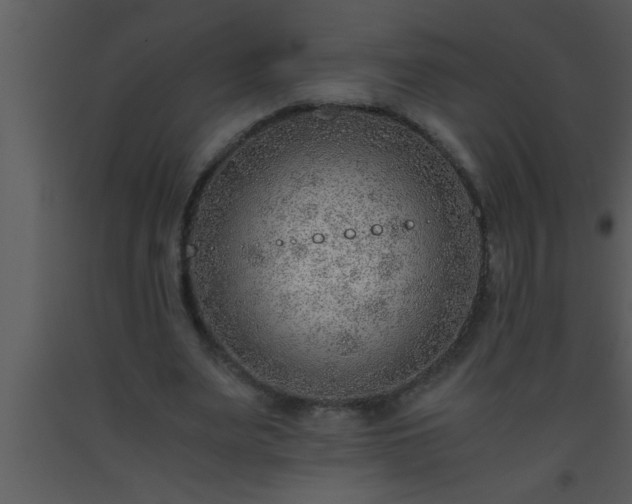 X0000093510487200710191314