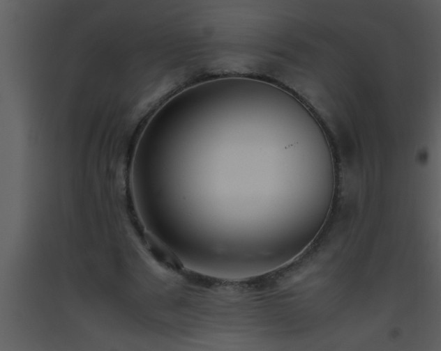 X0000093510489200710191314