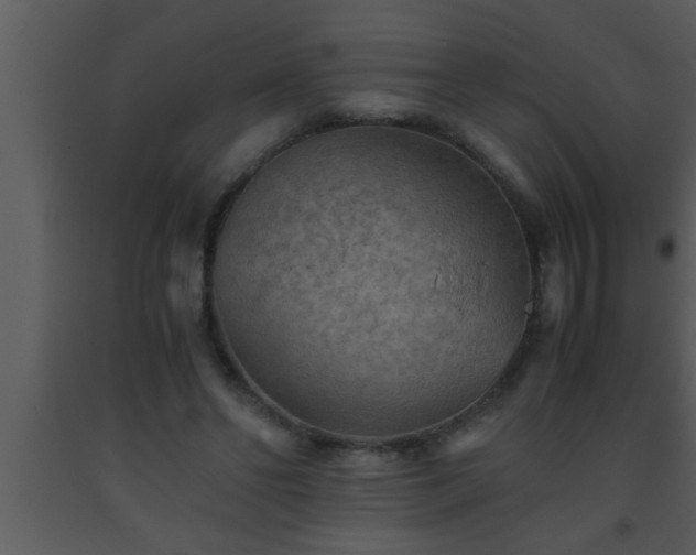 X0000093510494200710191314