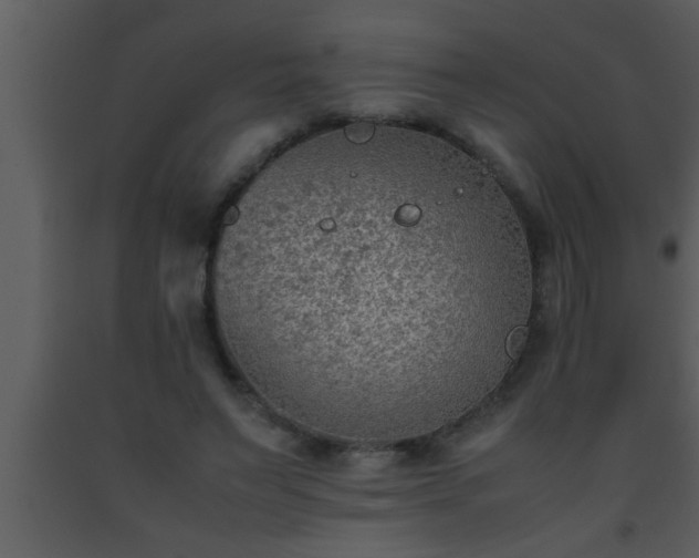 X0000093510495200710191314