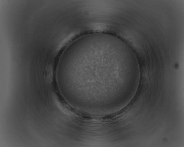 X0000093510496200710191314
