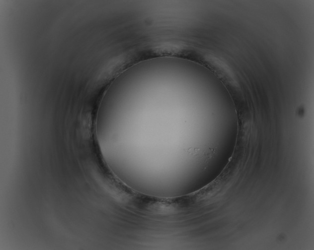 X0000093510498200710191314