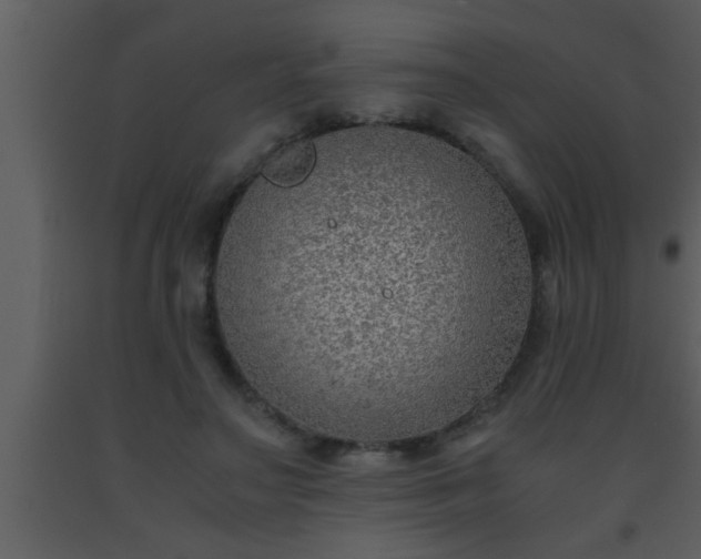 X0000093510499200710191314