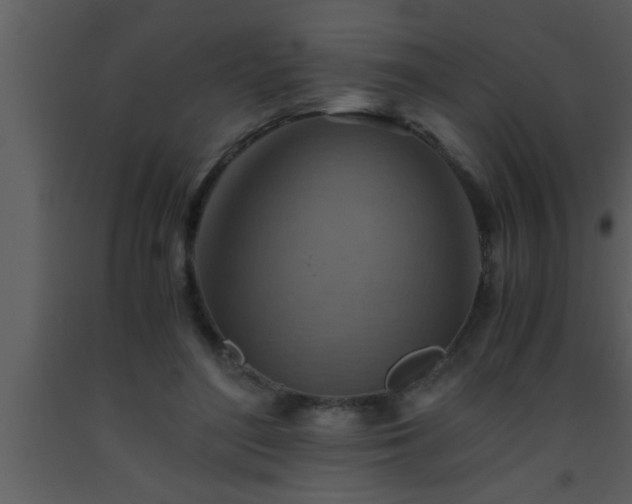X0000093510500200710191314