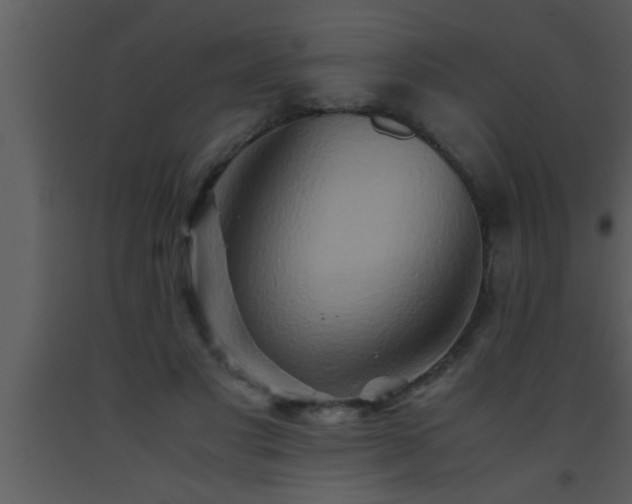 X0000093510501200710191314
