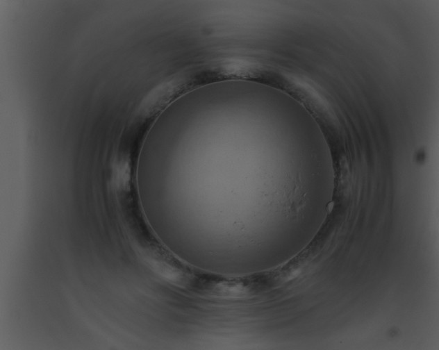 X0000093510502200710191314