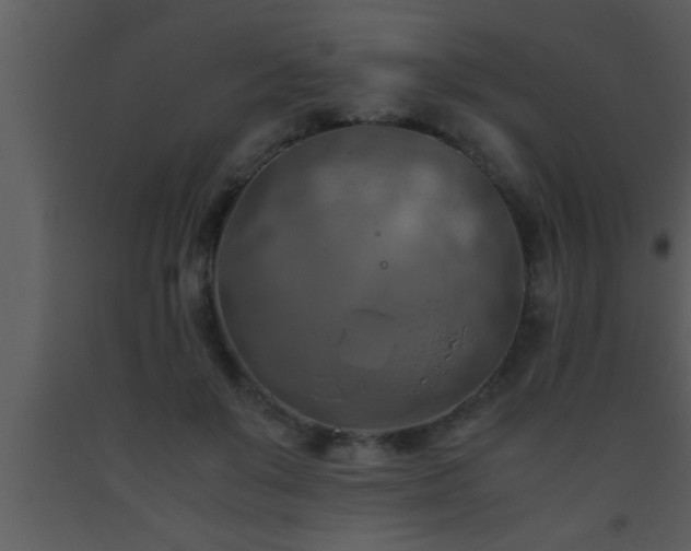 X0000093510503200710191314