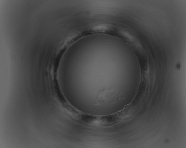 X0000093510504200710191314