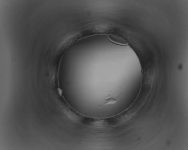 X0000093510505200710191314