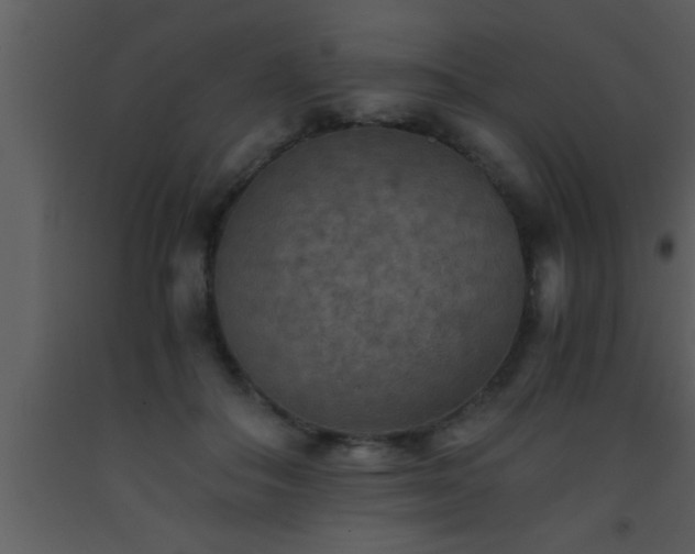 X0000093510506200710191314