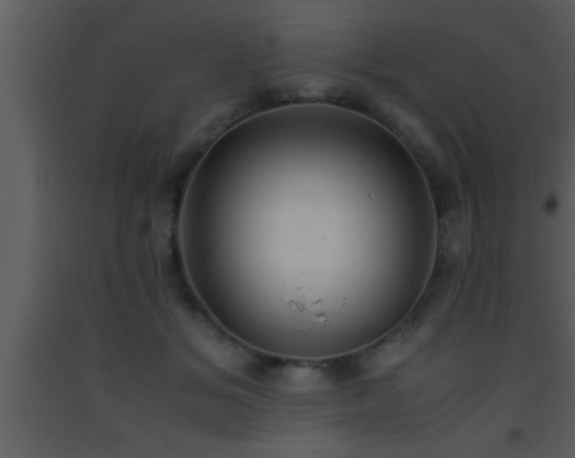 X0000093510509200710191314