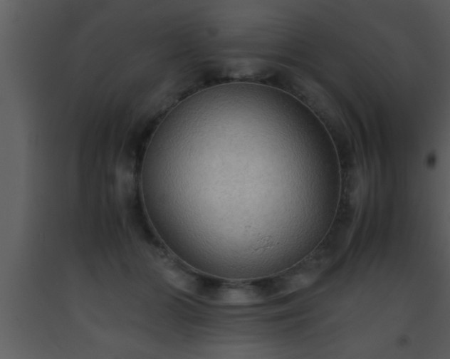 X0000093510510200710191314